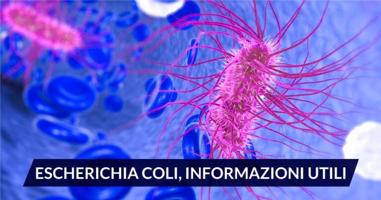 Escherichia-coli-informazioni-utili-sugli-esami