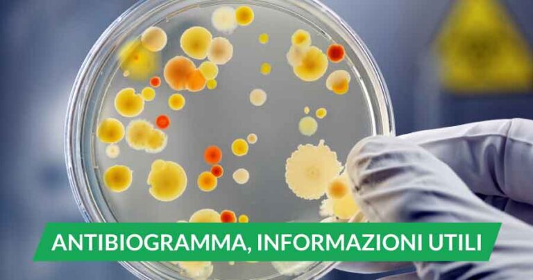 antibiogramma-arma-contro-antibiotico-resistenza-emicenter